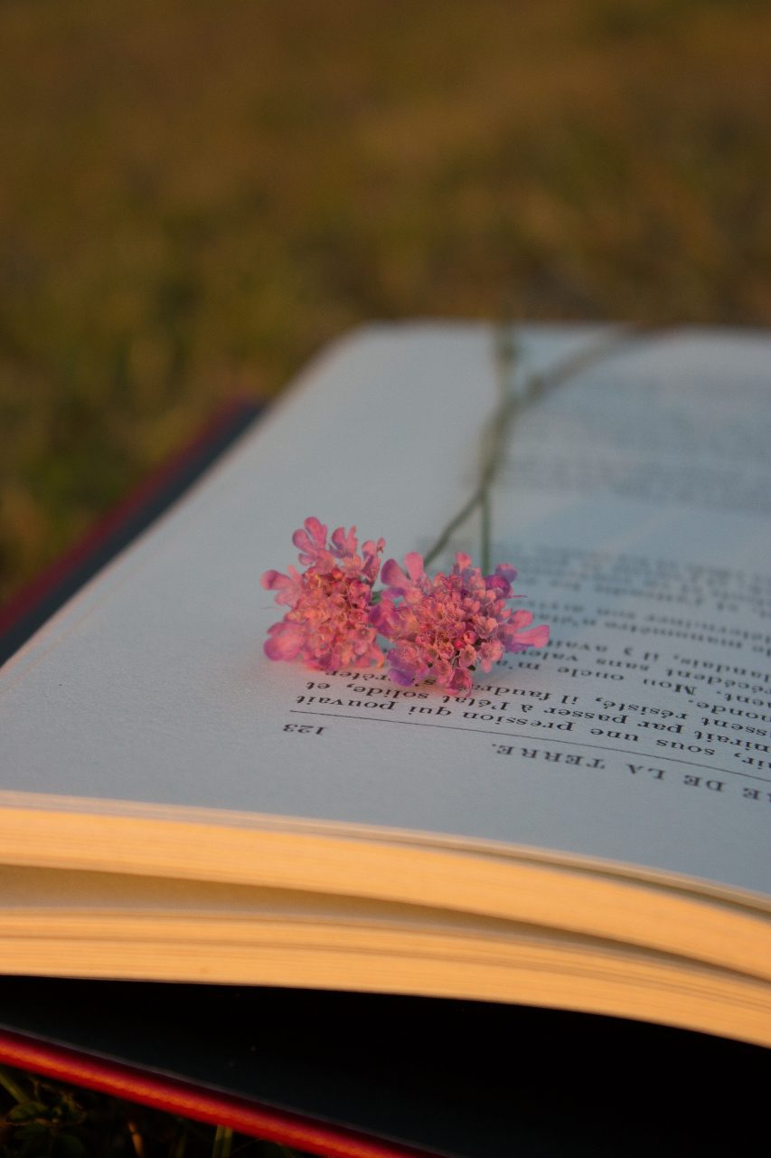 livre de vie